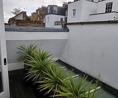 Interior exterior painter available - Image 8/9