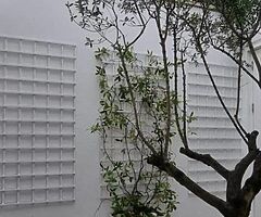 Interior exterior painter available - Image 9/9