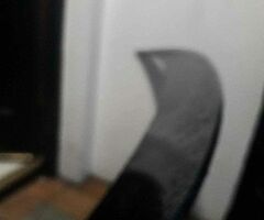 BMW 4 series duck boot spoiler