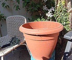 Plants and pots - Image 4/8
