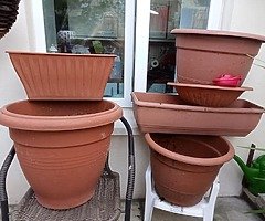 Plants and pots - Image 5/8