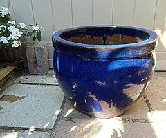 Plants and pots - Image 6/8