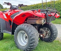 2009 Honda Fourtrax