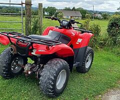2009 Honda Fourtrax - Image 3/5