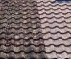 Home improvement - Image 6/8