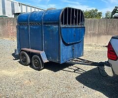 2 cow cattle/sheep trailer