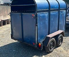2 cow cattle/sheep trailer