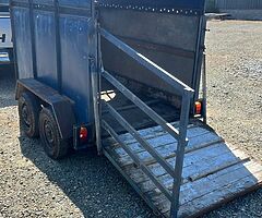 2 cow cattle/sheep trailer - Image 3/3