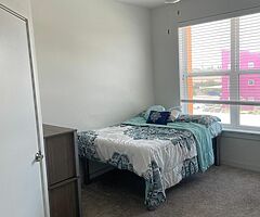 1 bed 1 bath Flat - Image 7/10