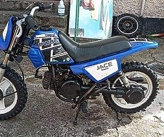 Pw 50