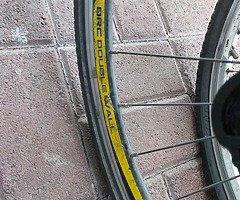 Carreara - Image 5/8