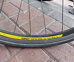 Carreara - Image 6/8