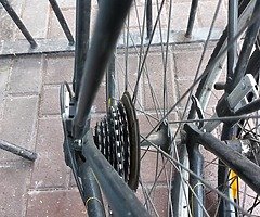 Carrera zelos - Image 4/8