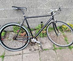 Super fast single speed Bike and a folding bike I will make a good deal for both :)