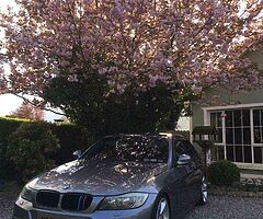 320D