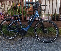 FALTER BIKE BOSCH