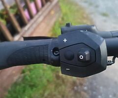 FALTER BIKE BOSCH - Image 4/7