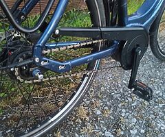FALTER BIKE BOSCH - Image 6/7
