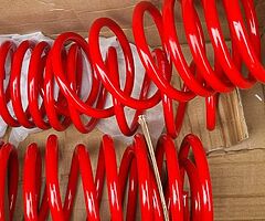 55 mm lowerings springs brand new