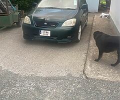 E12 corolla - Image 4/9