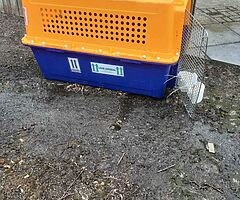X large dog crate