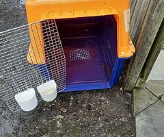 X large dog crate