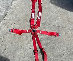 Harness