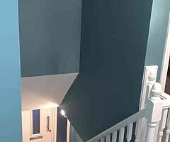 Interior exterior painter available - Image 5/7