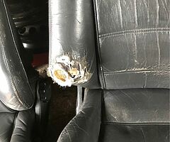 Cavalier CDX & Turbo leather interiors - Image 4/4