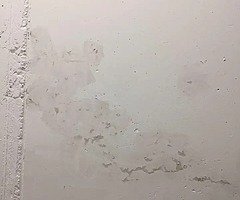 Painter - Image 6/10