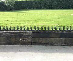 Box Hedging - Image 5/10