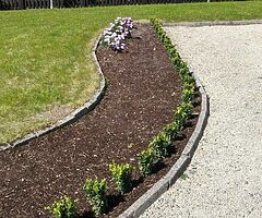 Box Hedging - Image 10/10