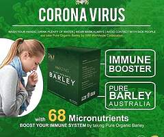 Authentic Barley - Image 6/7