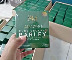 Authentic Barley - Image 7/7