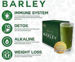 Barley Grass