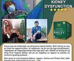 Barley Grass - Image 3/5