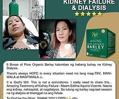 Barley Grass - Image 4/5