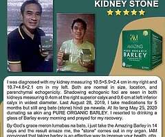 Barley Grass - Image 5/5