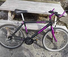 bike athy 70 - Image 5/8