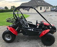 Quadzilla buggy