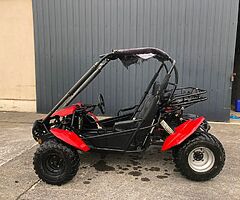 Quadzilla buggy