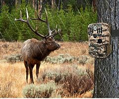 90€ 24MP Hunting Trail Camera with Night Vision Motion Activated IP66 Waterproof and 120°Wide-Angle - Image 4/7