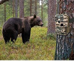 90€ 24MP Hunting Trail Camera with Night Vision Motion Activated IP66 Waterproof and 120°Wide-Angle - Image 6/7