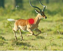 90€ 24MP Hunting Trail Camera with Night Vision Motion Activated IP66 Waterproof and 120°Wide-Angle - Image 7/7