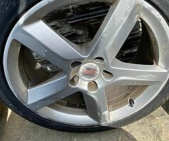 Exeo standard alloys