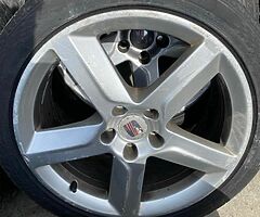 Exeo standard alloys