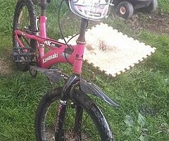 Girls  bmx  bike