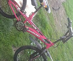 Girls  bmx  bike