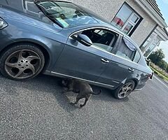 Volkswagen Passat - Image 8/10