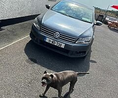 Volkswagen Passat - Image 9/10